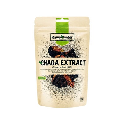 Chagapulver Instant Extrakt 40% 75g - Rawpowder