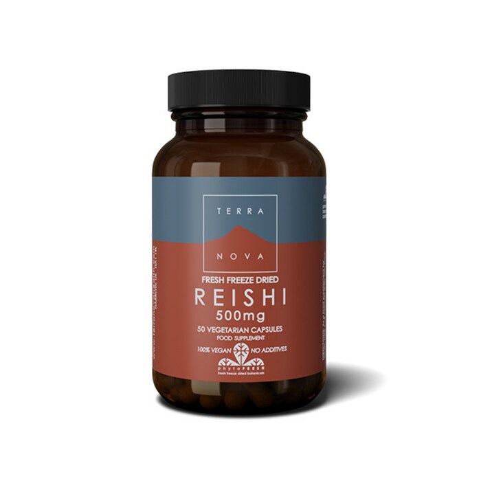 Reishi 500mg 50 kapslar - Terranova