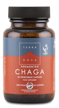 Fermented Chaga (sprängticka) 50 kapslar