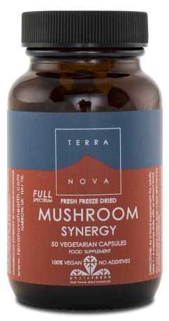 Mushroom Synergy 50 kapslar - Terranova